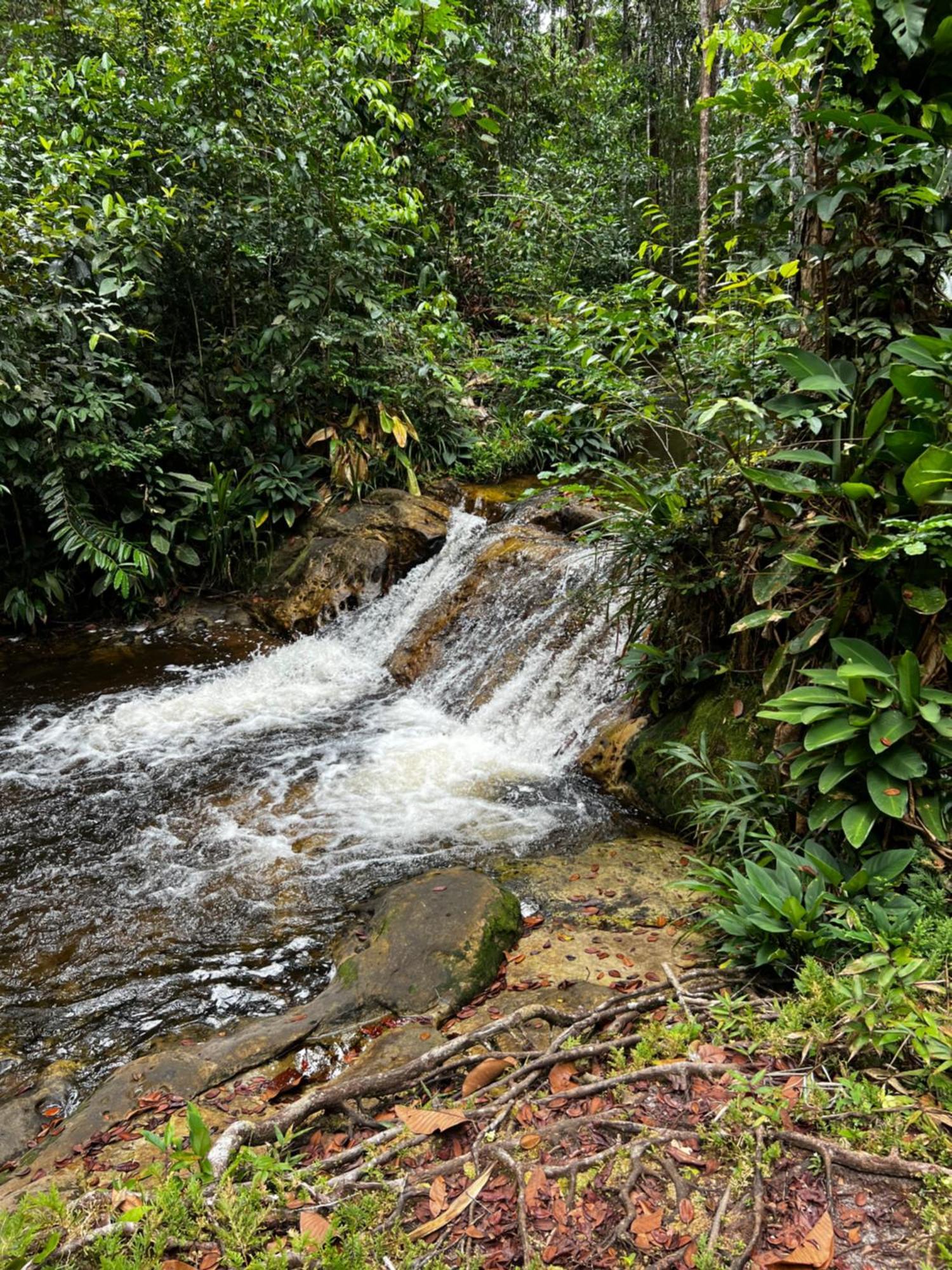 Pousada Paraiso Do Calango Azul Presidente Figueiredo Eksteriør billede