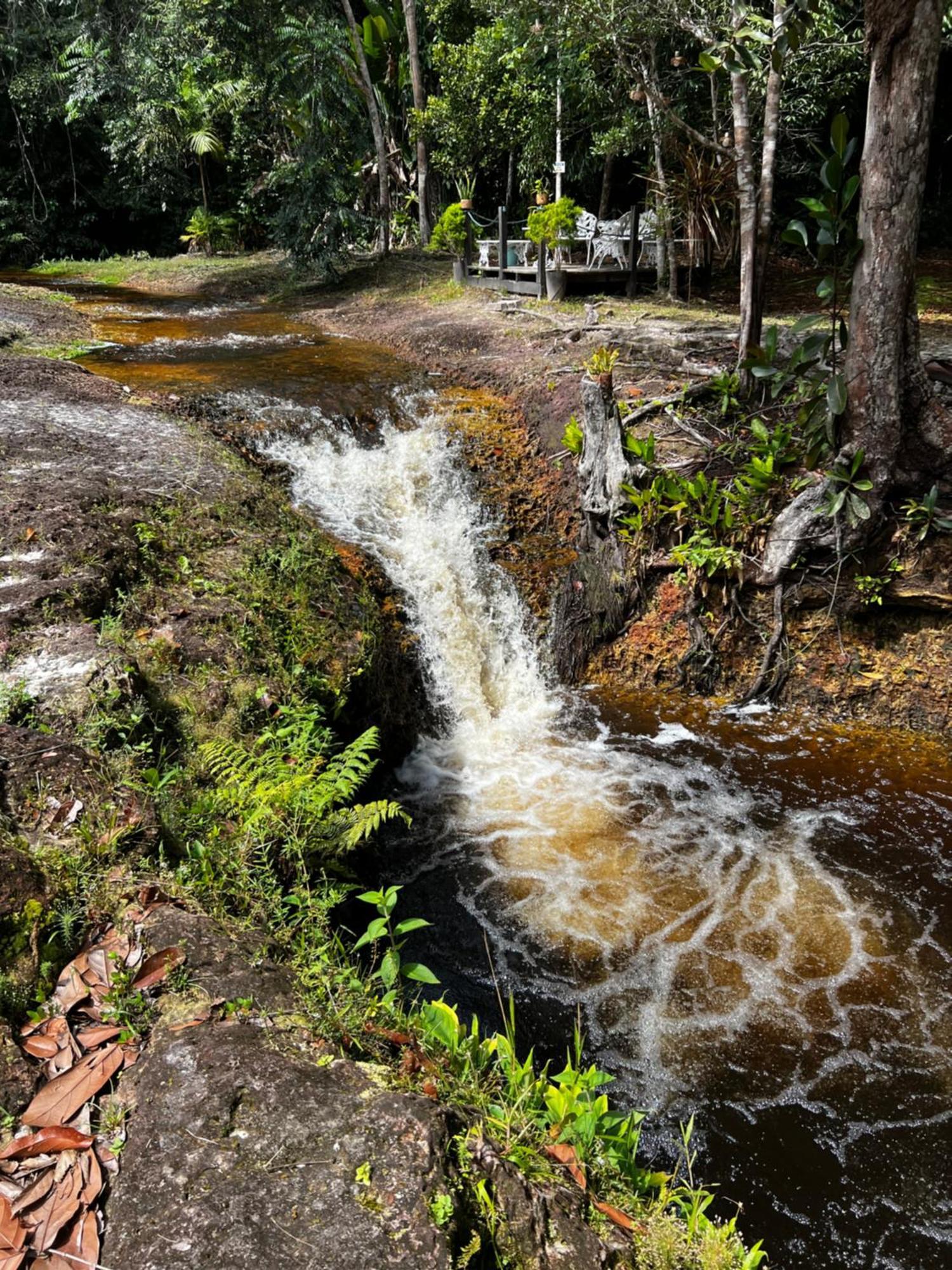 Pousada Paraiso Do Calango Azul Presidente Figueiredo Eksteriør billede